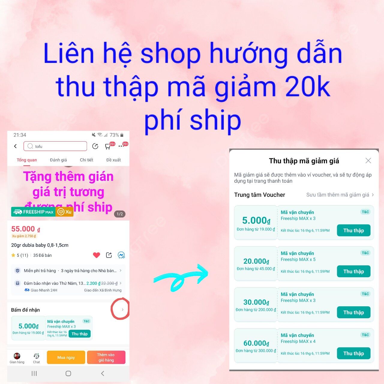 100gr gián dubia size hỗn hợp (baby, trung, lớn) (Dubiasg)