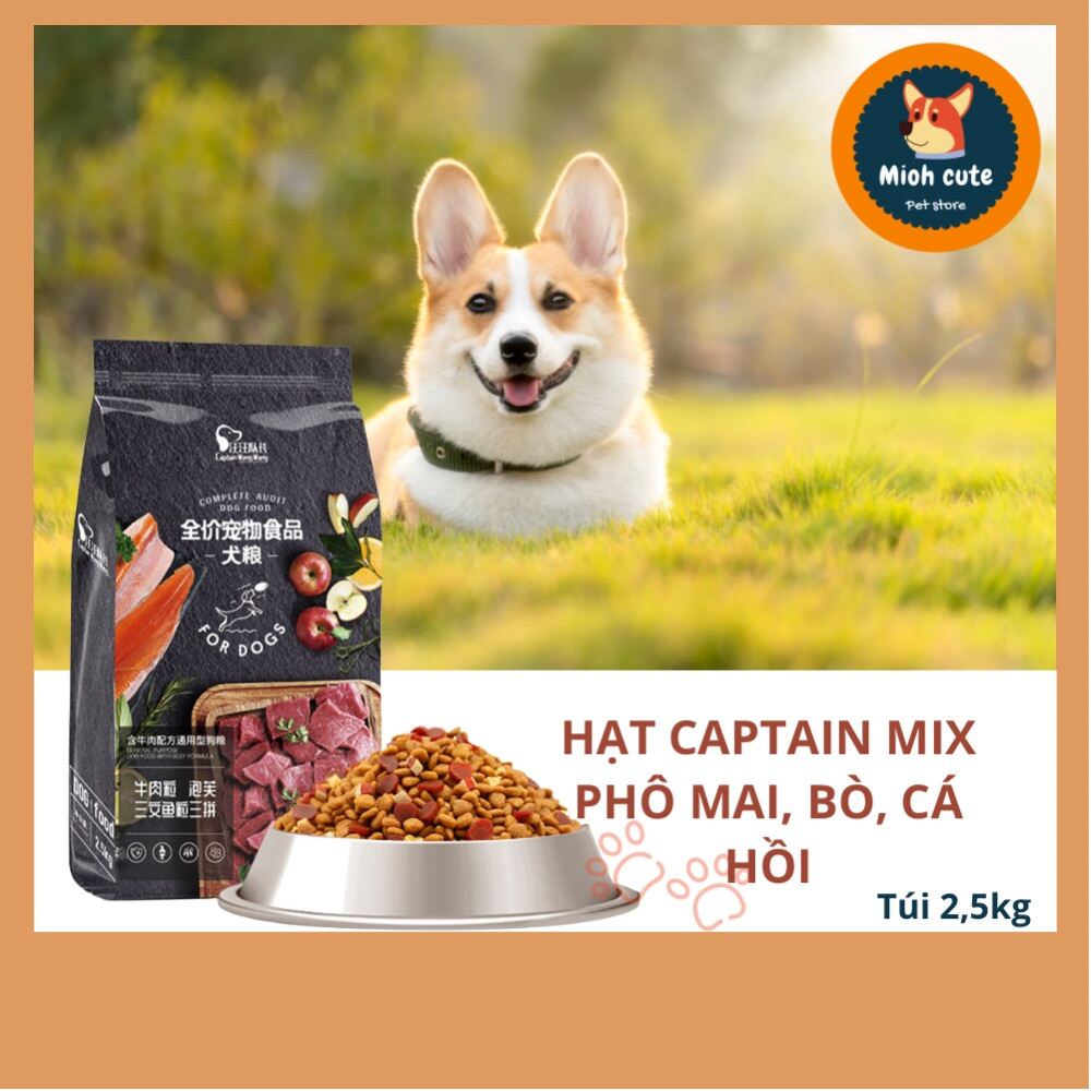 Hạt thức ăn cho chó Captain túi 2,5kg - hạt chuyên dùng cho bé kén ăn