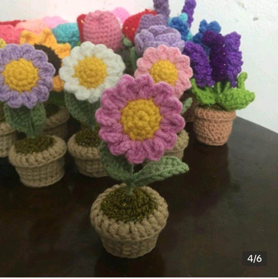Chậu hoa cúc mini bằng len handmade