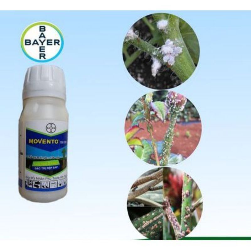 Thuốc trừ rệp sáp, bọ trĩ, bọ phấn, sâu tơ Movento 100ml