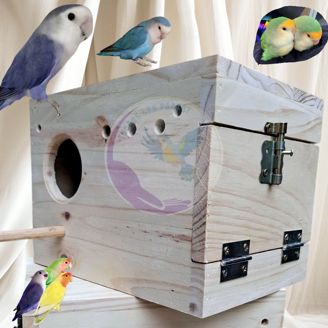 Tổ đẻ cho lovebird