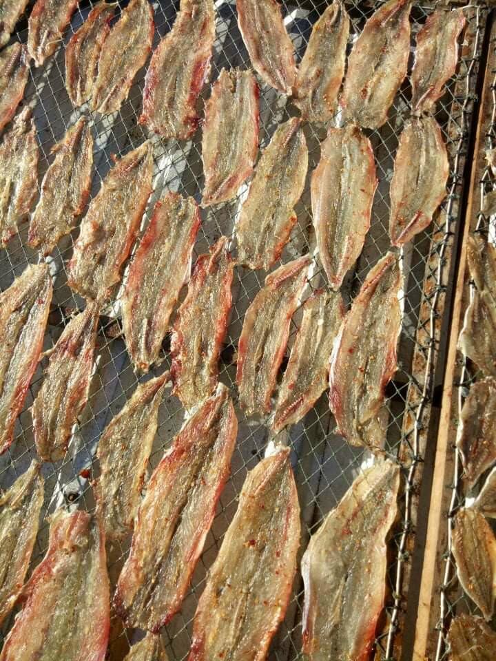 khô cá mối 70k/ 0,5 kg