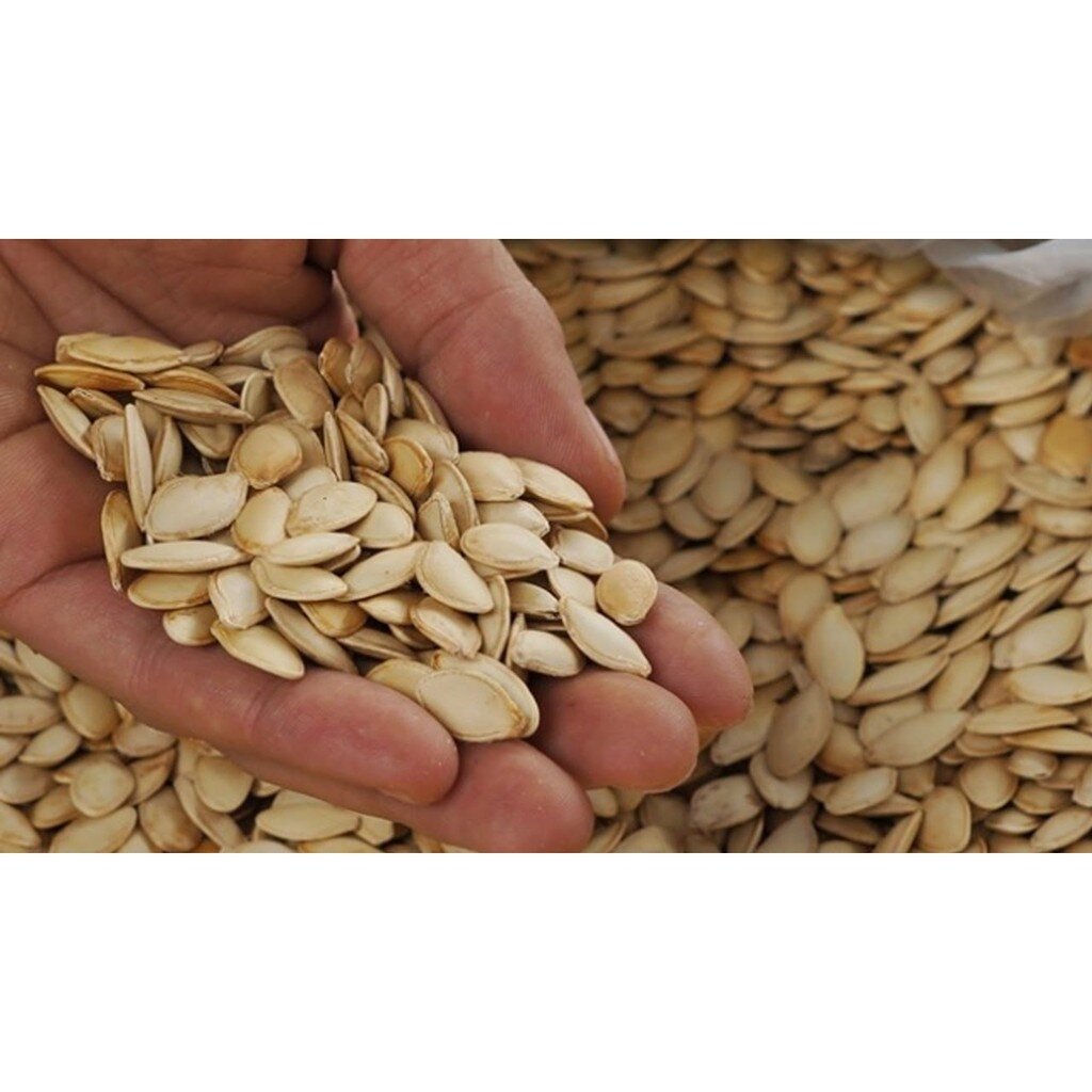 500g hạt bí ngô loại chín