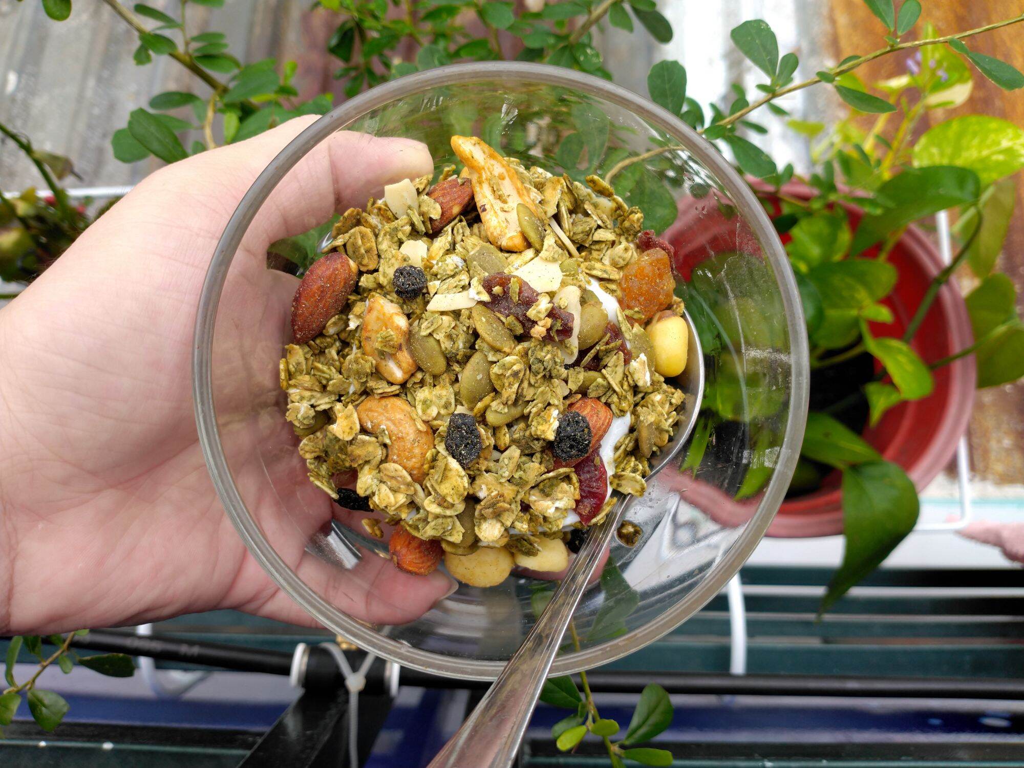 GRANOLA matcha 500g