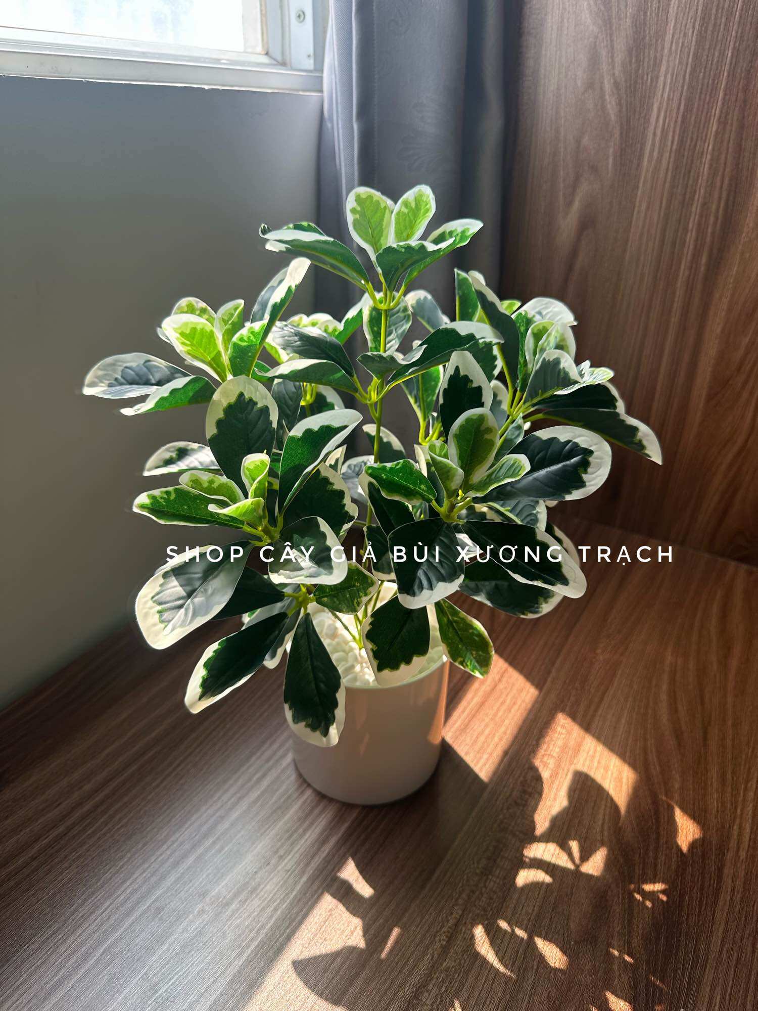 Chậu cây giả để bàn - chậu cây cẩm thạch 40cm