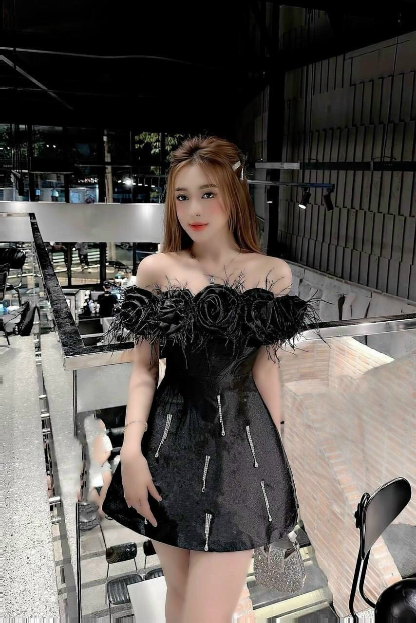 ĐẦM  XÒE HOA TRỄ VAI ĐÍNH LÔNG