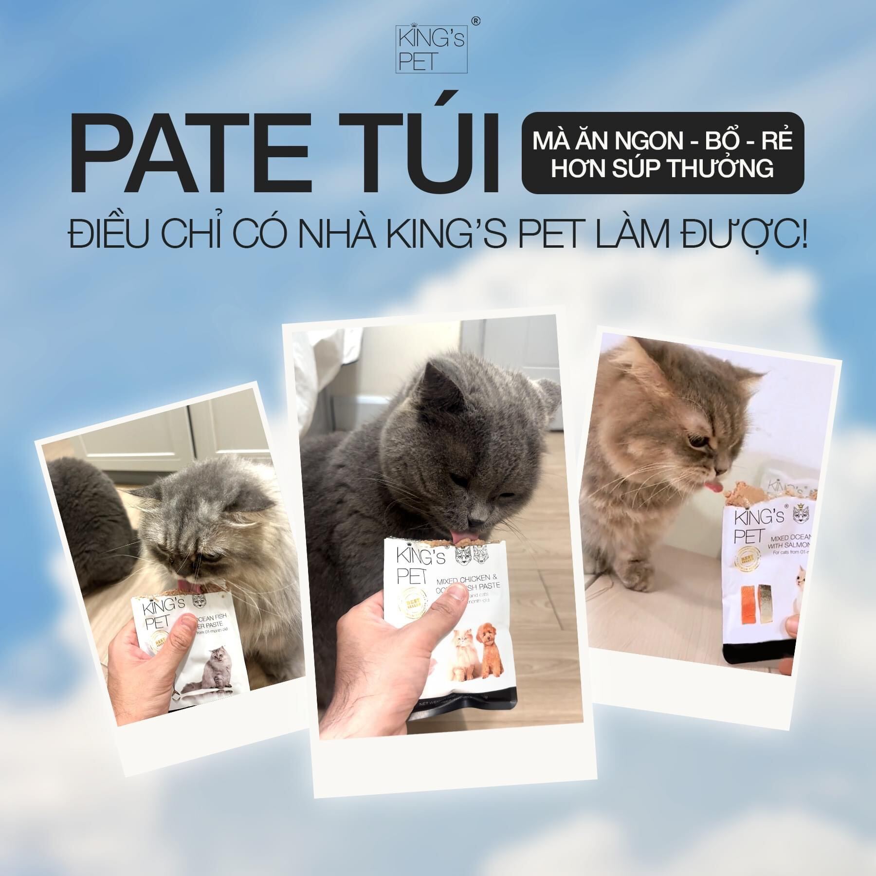 Pate King's pet gói 70g - Pate cho mèo