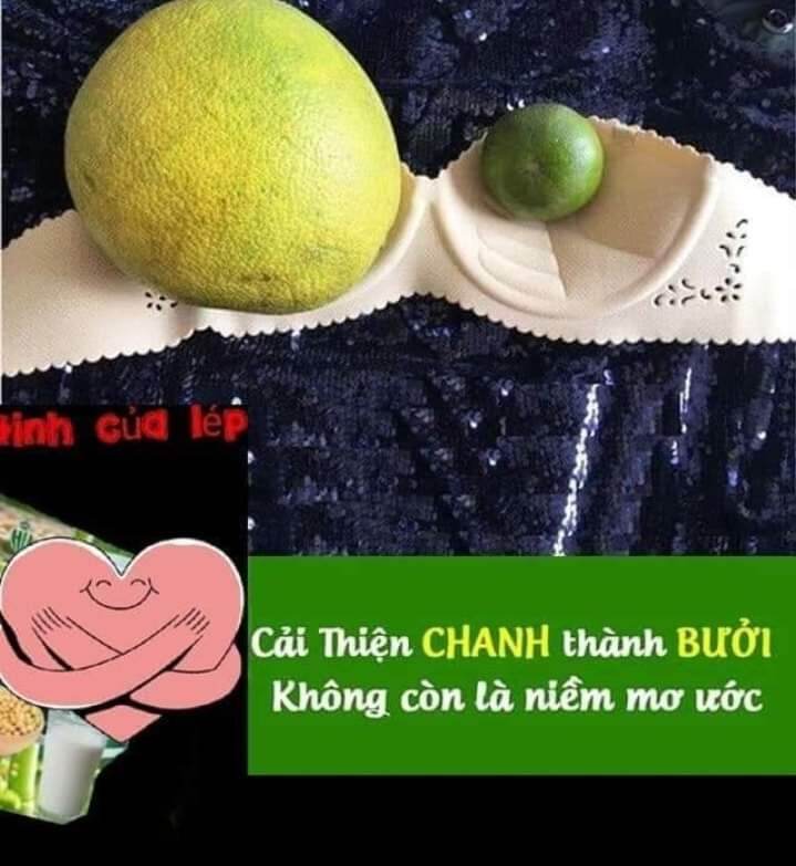 Mầm đậu nành Queen Beauty chính hãng