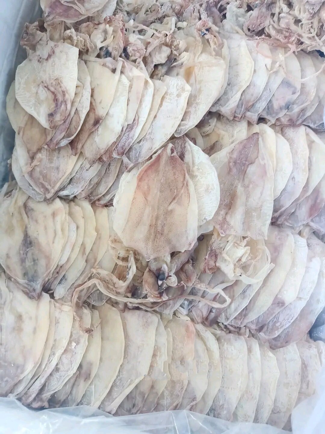 KHÔ MỰC 500gr loại 90-100c 1kg