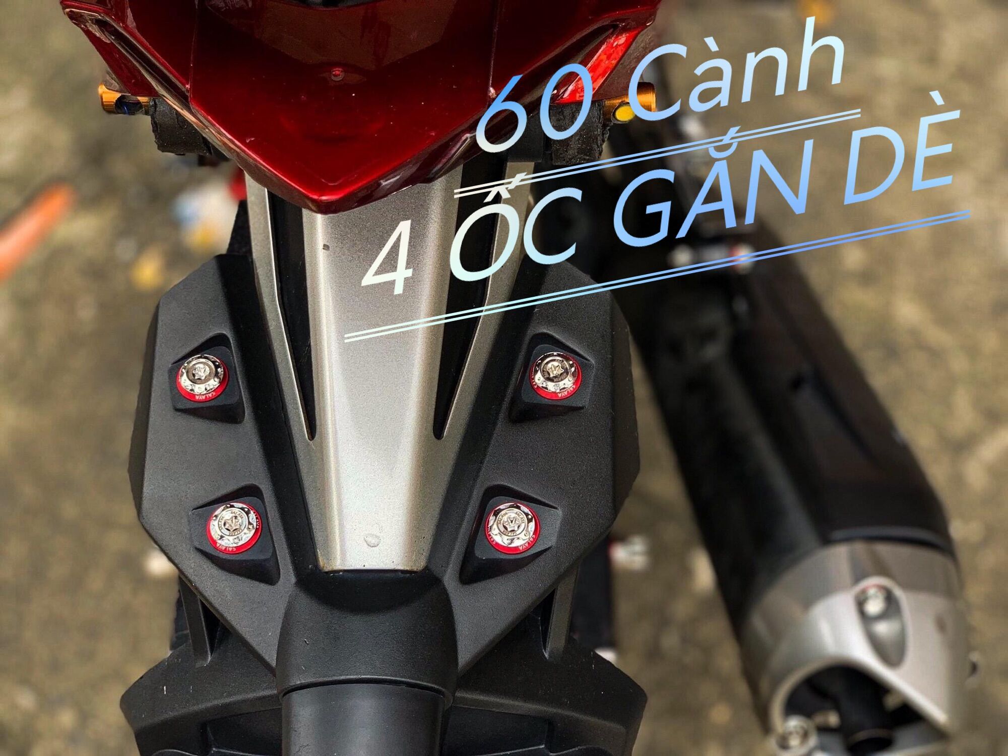 Combo 4 ốc salaya gắn dè ex 150