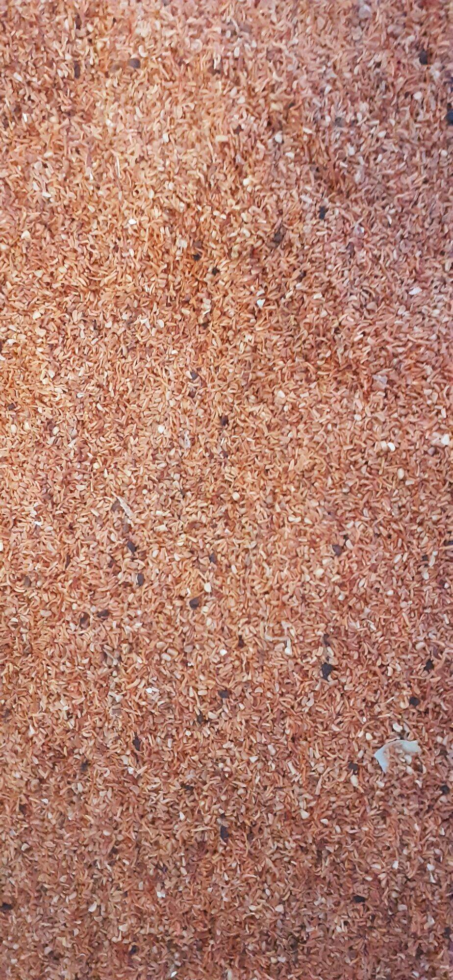 100gram hạt bạch đàn trắng giống
