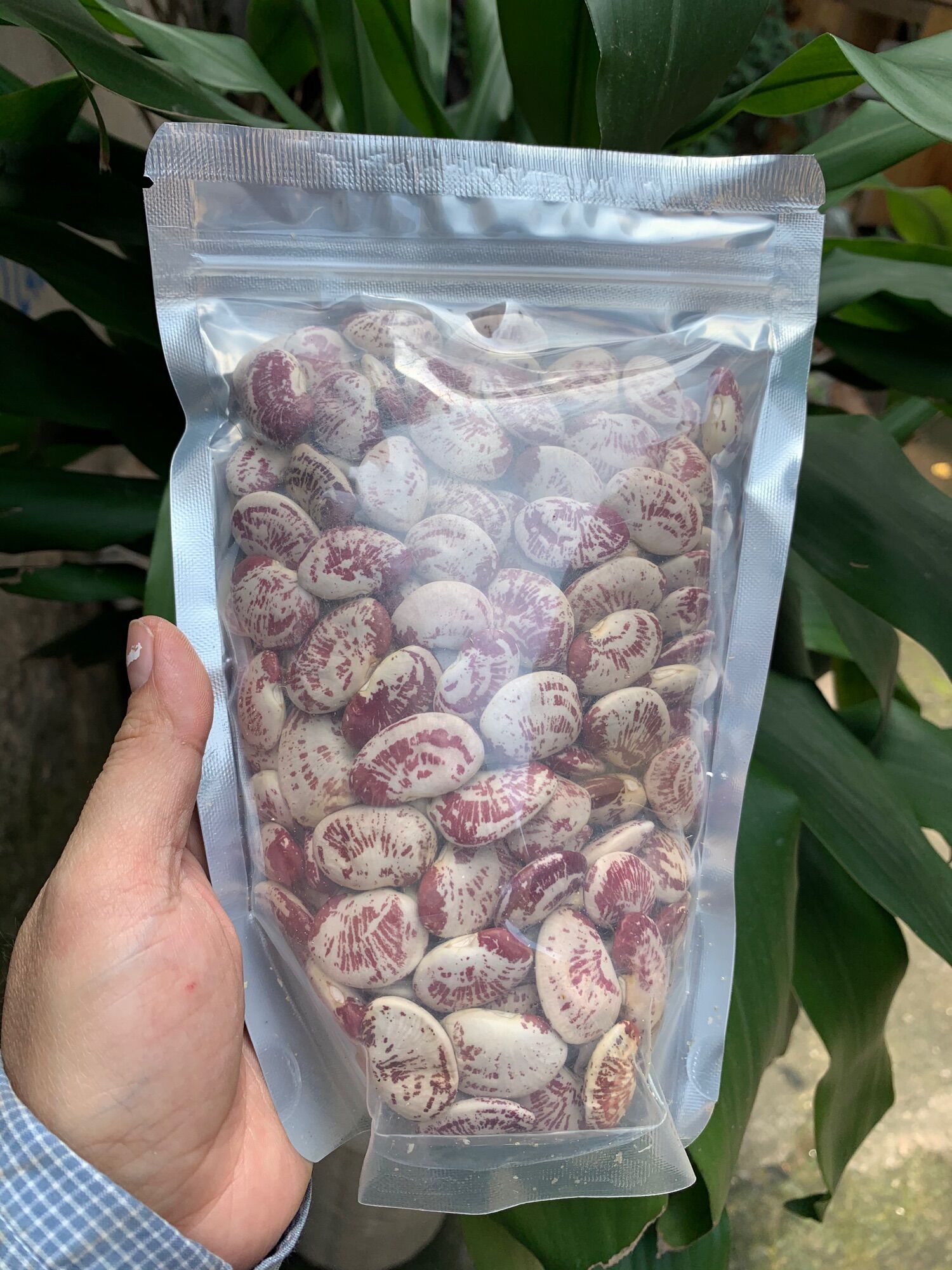 500gr đậu ngự hàng khô