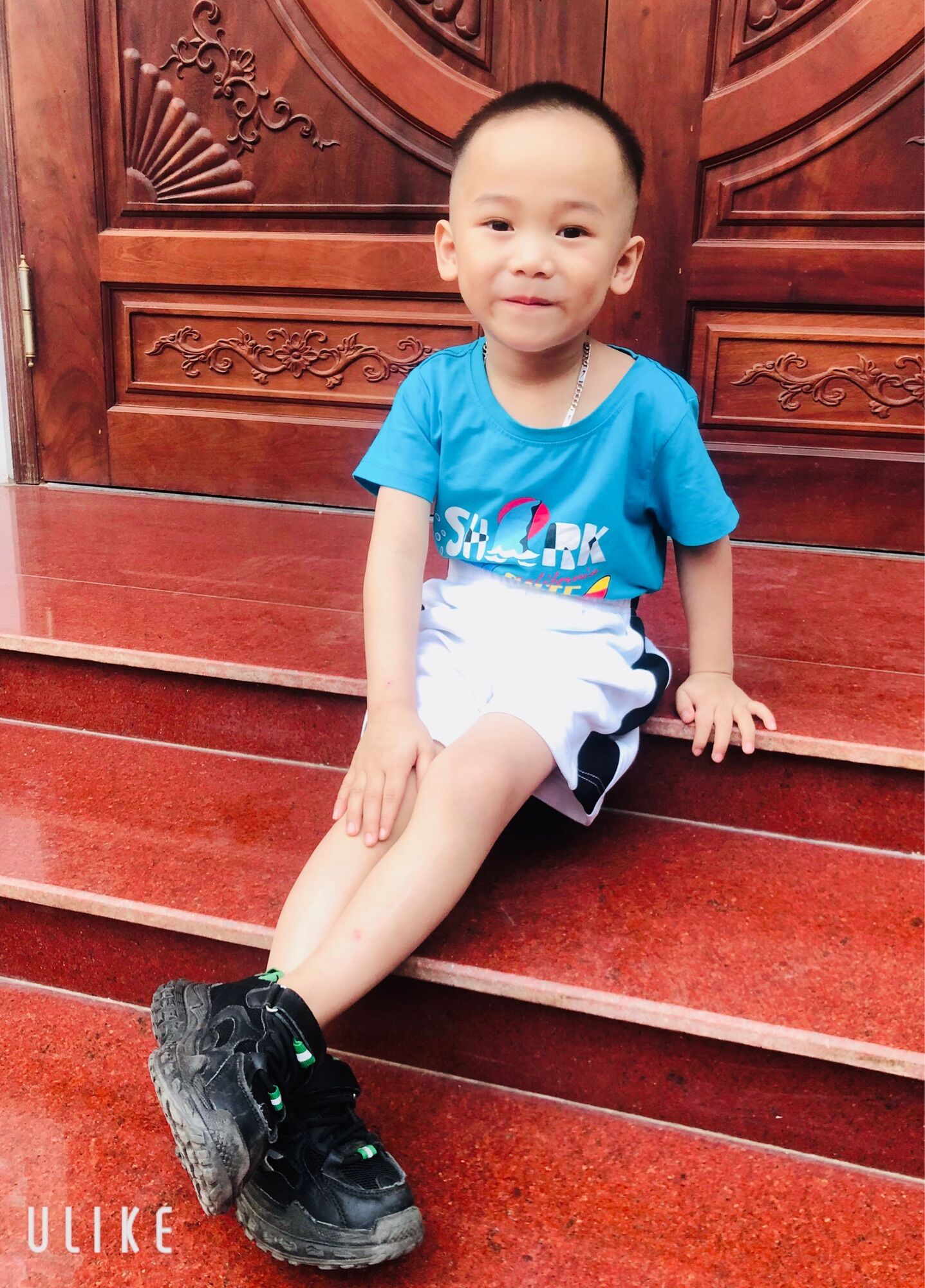 Quần short đùi cho bé 8-30kg