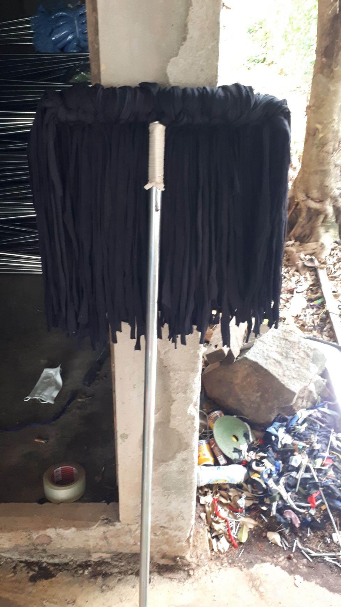 Cây Lau mùng cán thép