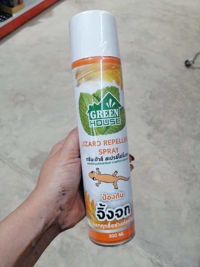 Chai xịt thằn lằn Lizard Repellent Spray Green House Thái Lan