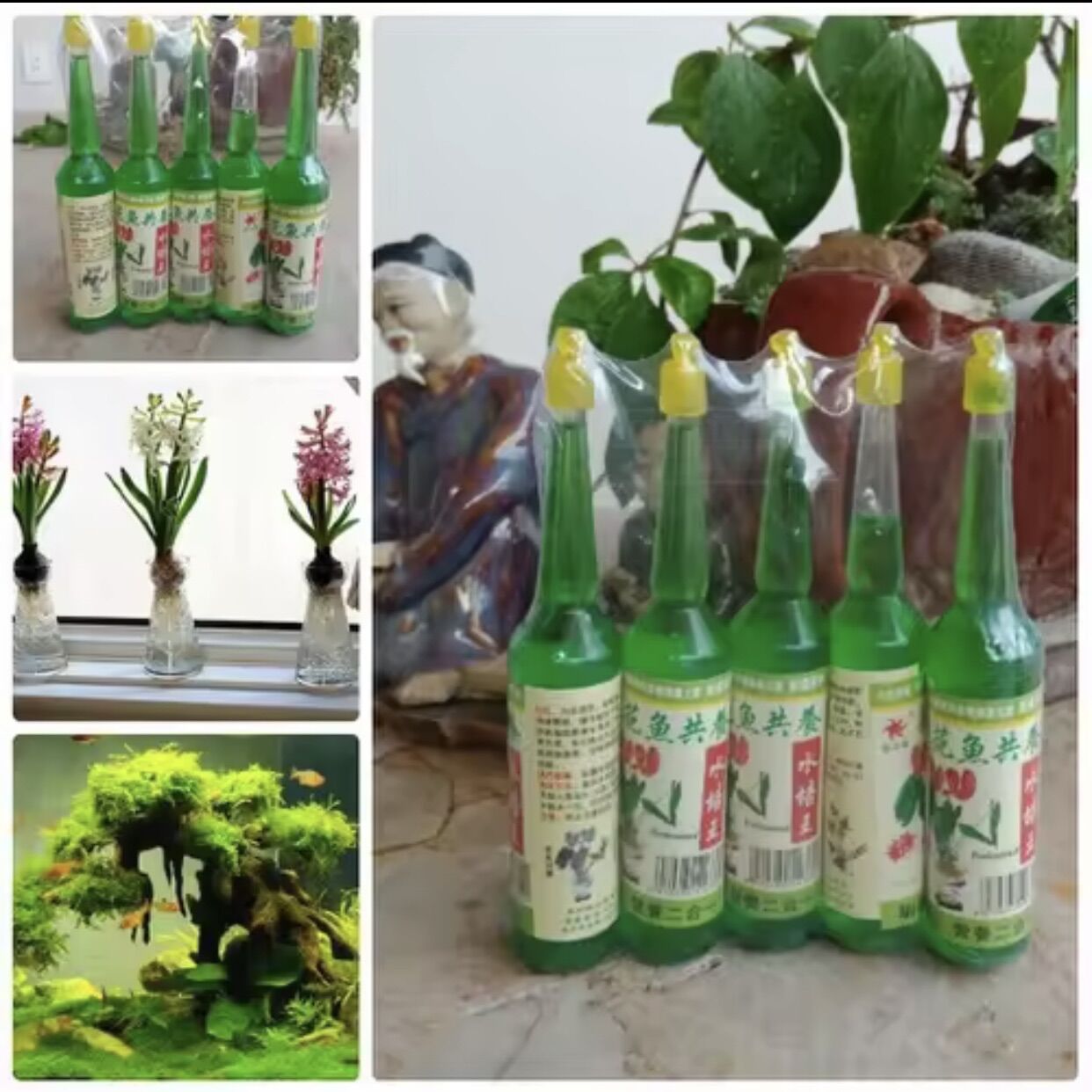 Dung dịch thuỷ canh dành cho cây phong thuỷ, bể cá, cây trong nước. Lọ 38ml