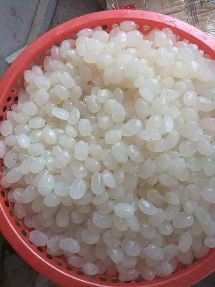 1kg hạt đác tươi khách về rửa sạch rồi nấu chè, ...