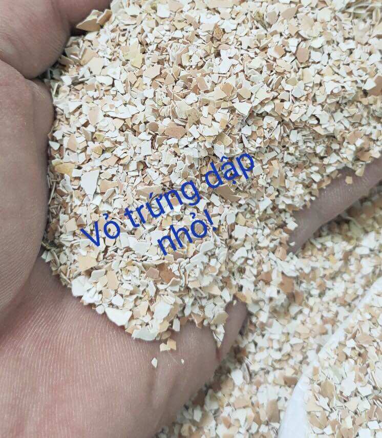 Vỏ trứng gà dành cho cây trồng