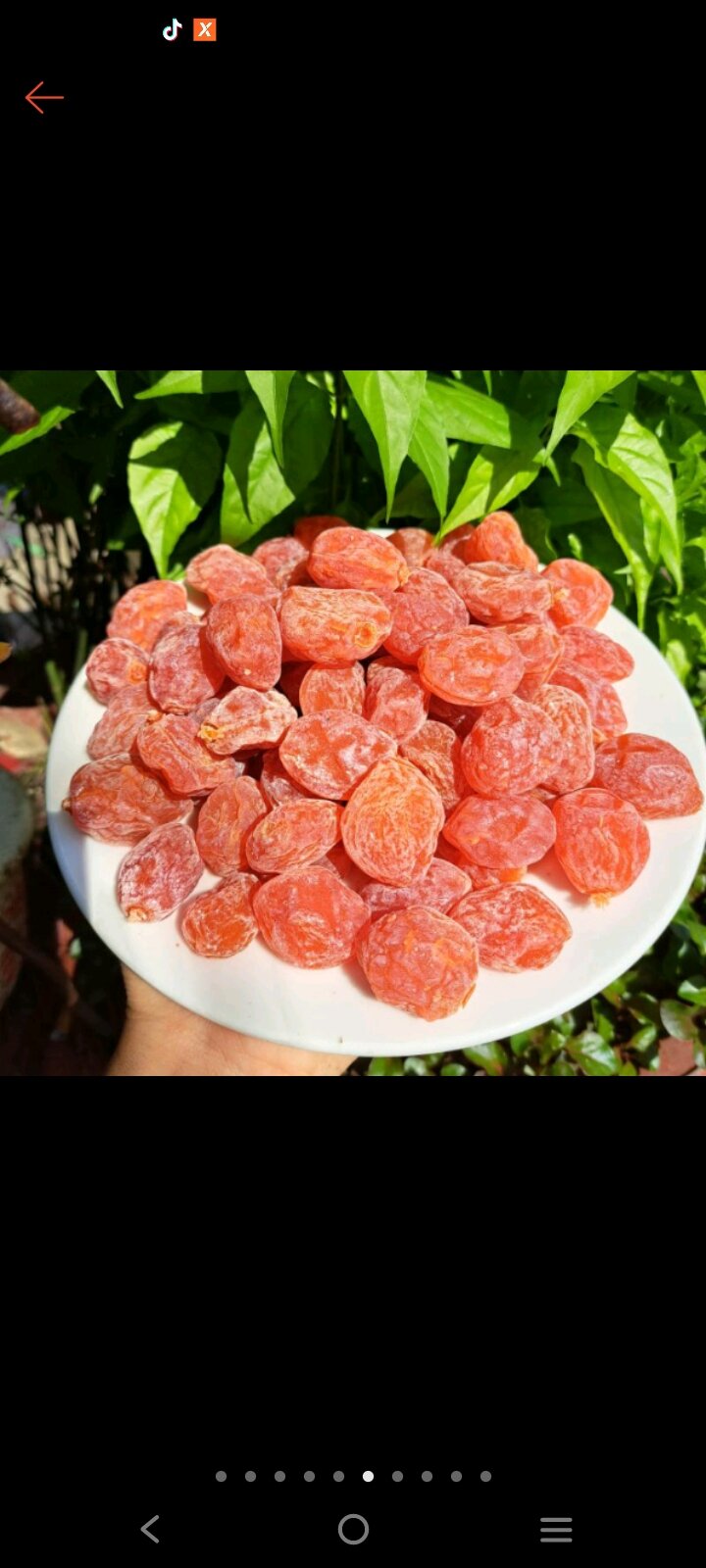 Ô MAI XÍ MUỘI