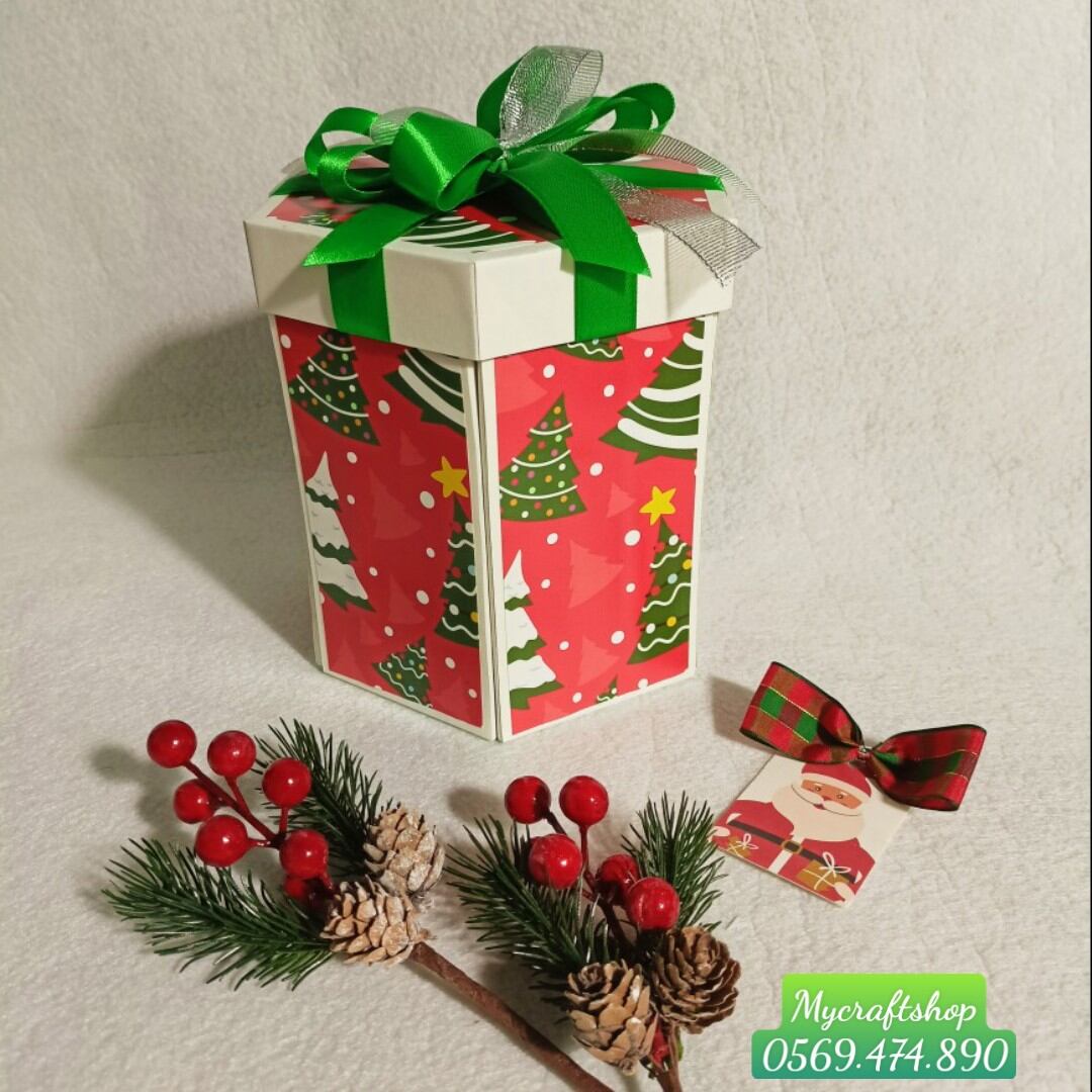 Hộp quà Giáng Sinh mẫu 8