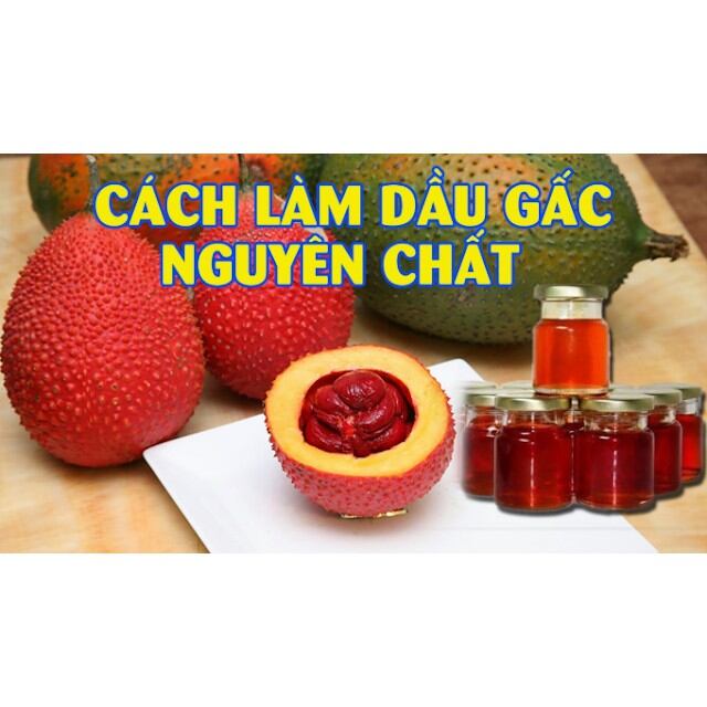 dầu gấc nguyên chất 100ml