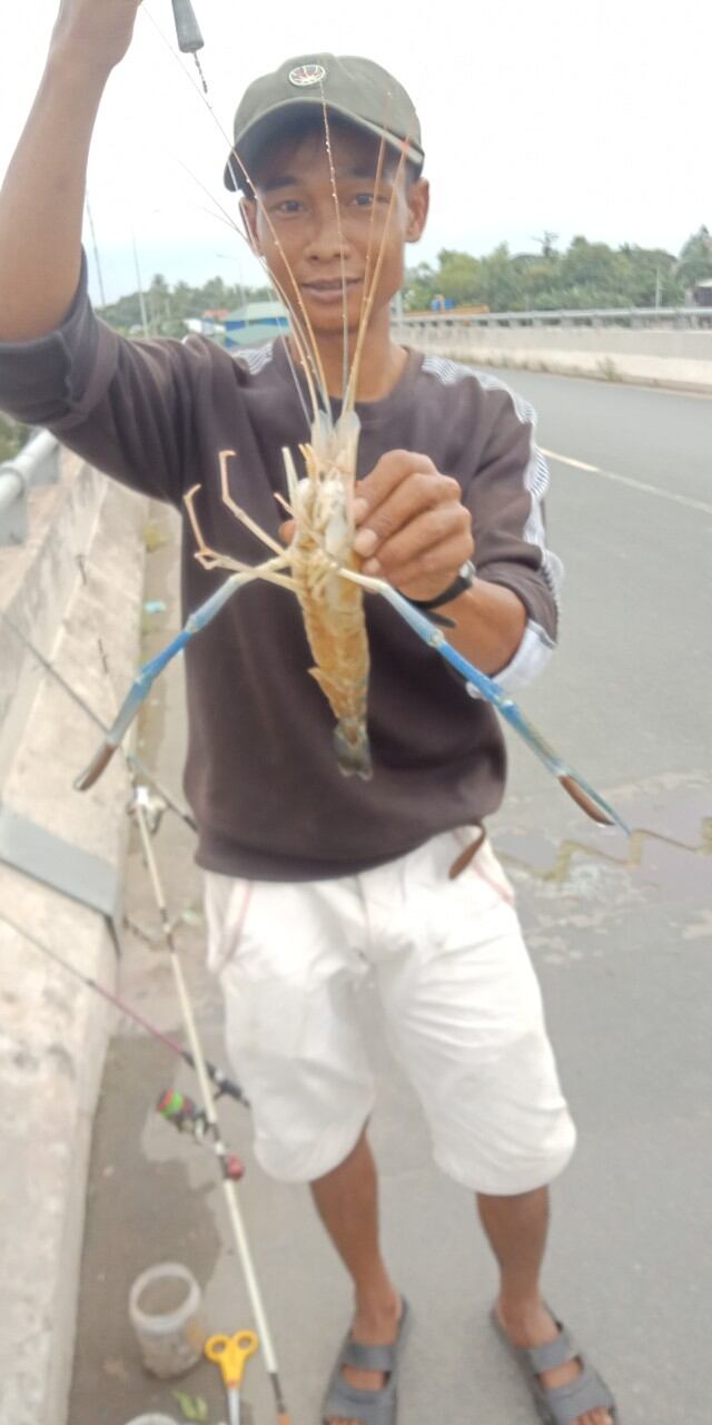 Green Crayfish Fishing Bait 30ml (Free 5 Stainless Steel Shrimp Hooks)