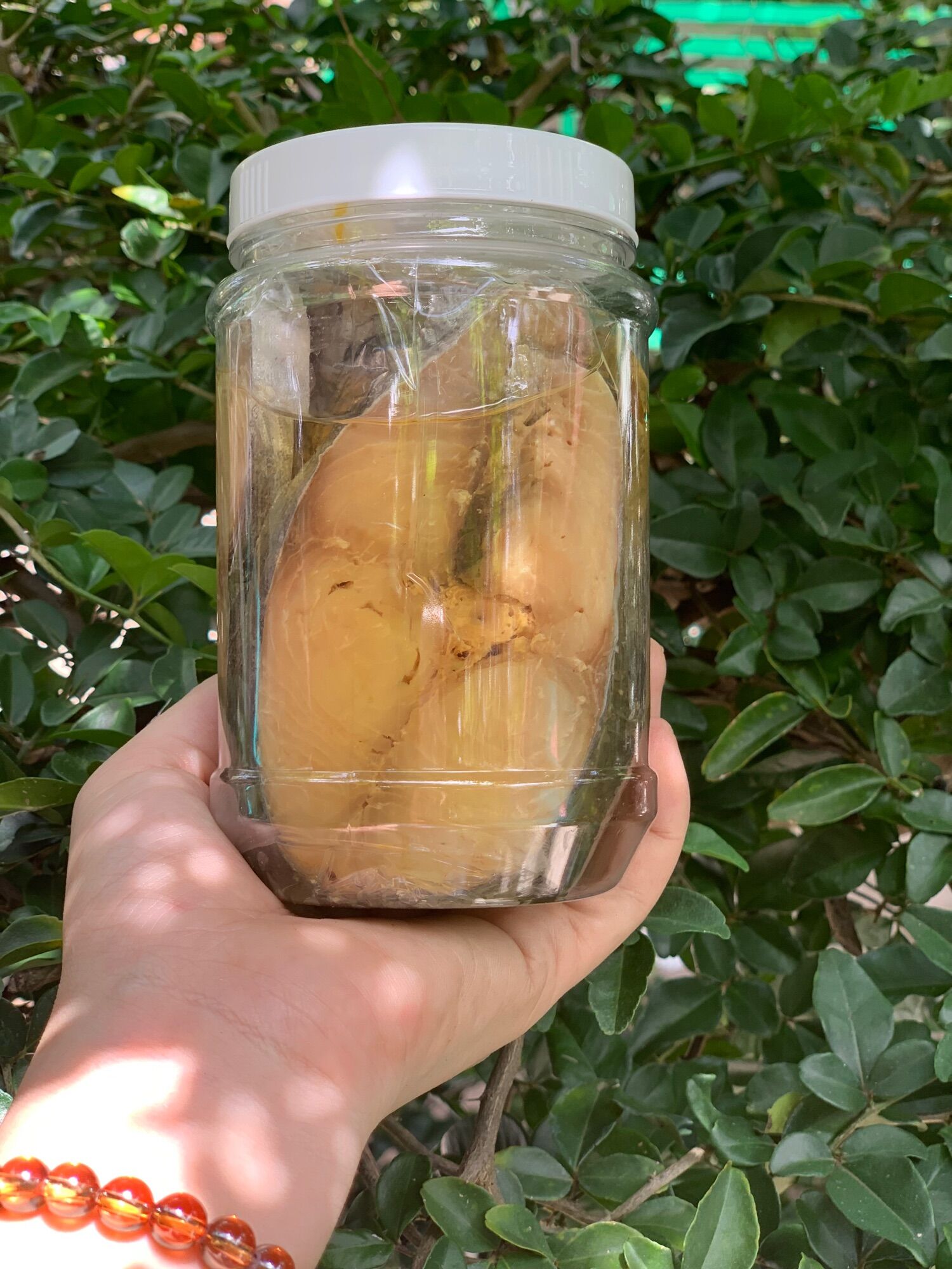 500g mắm cá thu ngâm dầu