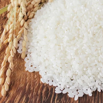 Hạt giống lúa Nhật Japonica túi 1kg
