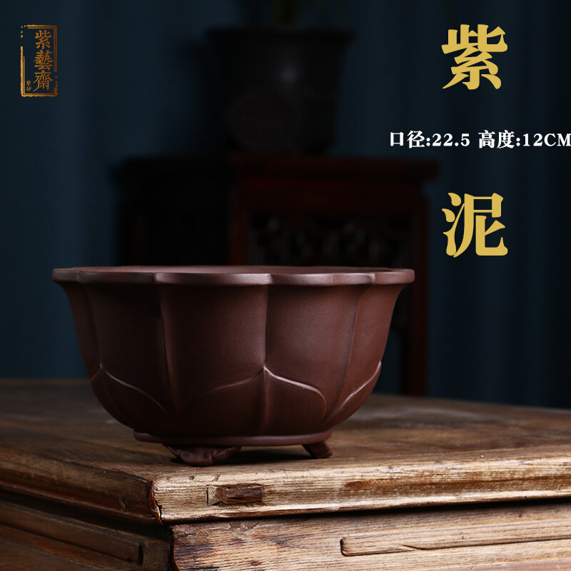 Chậu hoa tử sa chậu cây cảnh cỡ lớn chậu cây xanh chậu cây trồng trồng trồng trọt làm vườn bày biện triển lãm trúc tùng bách văn nhiều thịt hai màu