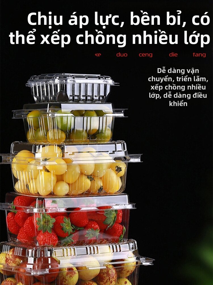 FURENJILI | Disposable Transparent Food Grade Packaging Box With Lid Giá  392,000 Đồng*Miễn phí vận chuyển