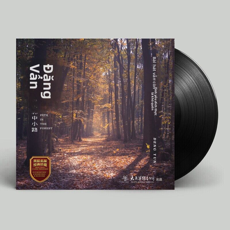 Máy Nghe Đĩa Nhạc Dân Tộc Chuyên Dụng LP 12 inch