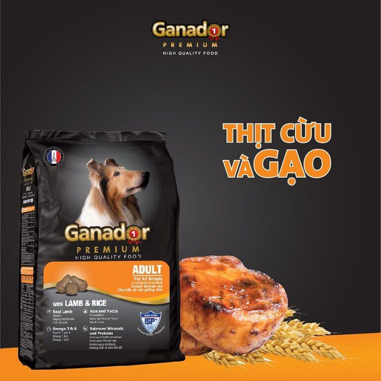 Thức ăn chó lớn thịt cừu Ganador adult 400g, đa dạng mẫu mã, chất lượng sản phẩm đảm bảo và cam kết hàng đúng như mô tả