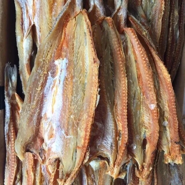 2kg cá mối khô ngon