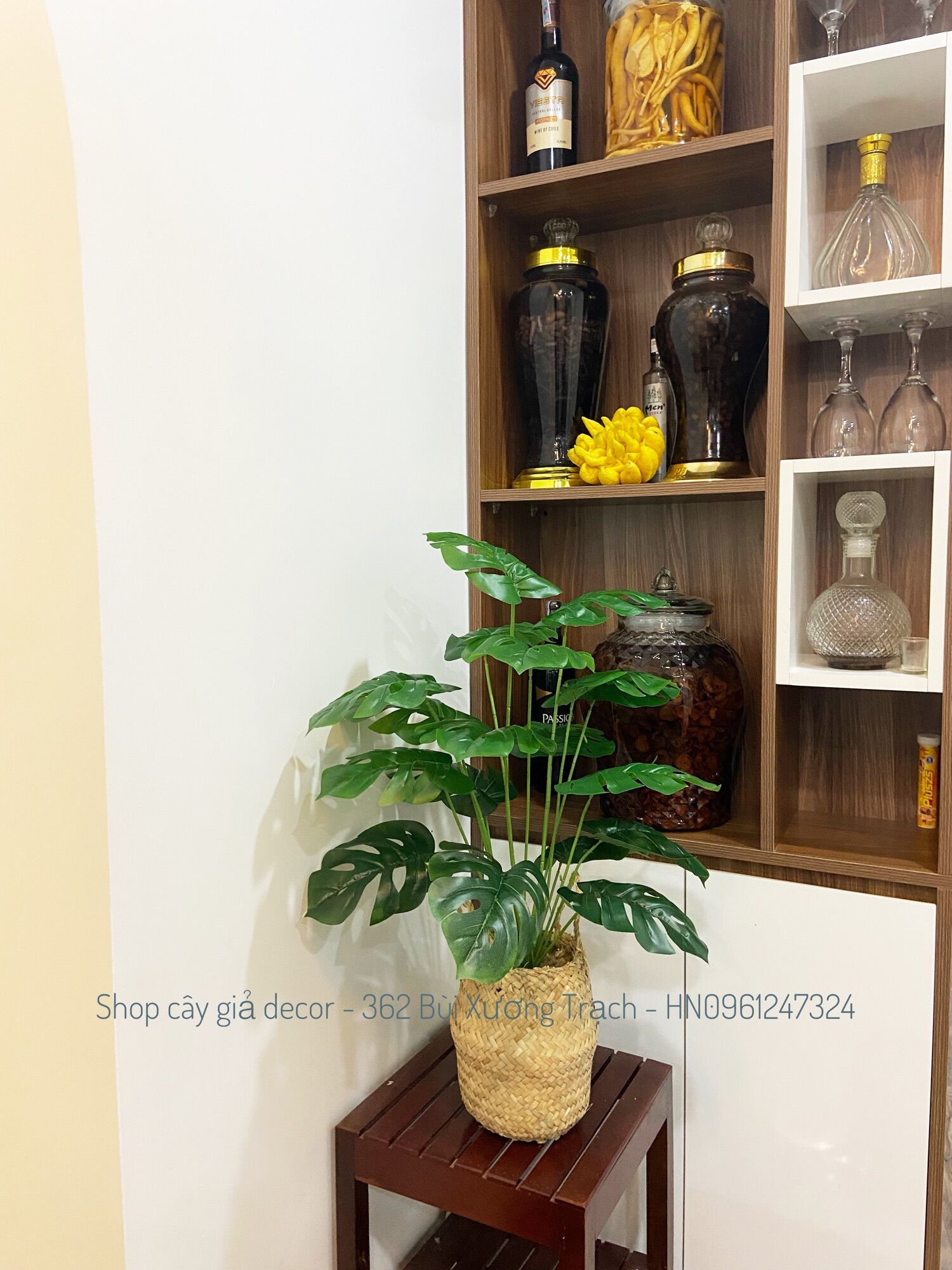 combo cây lá xẻ + chậu + giỏ cói y hình