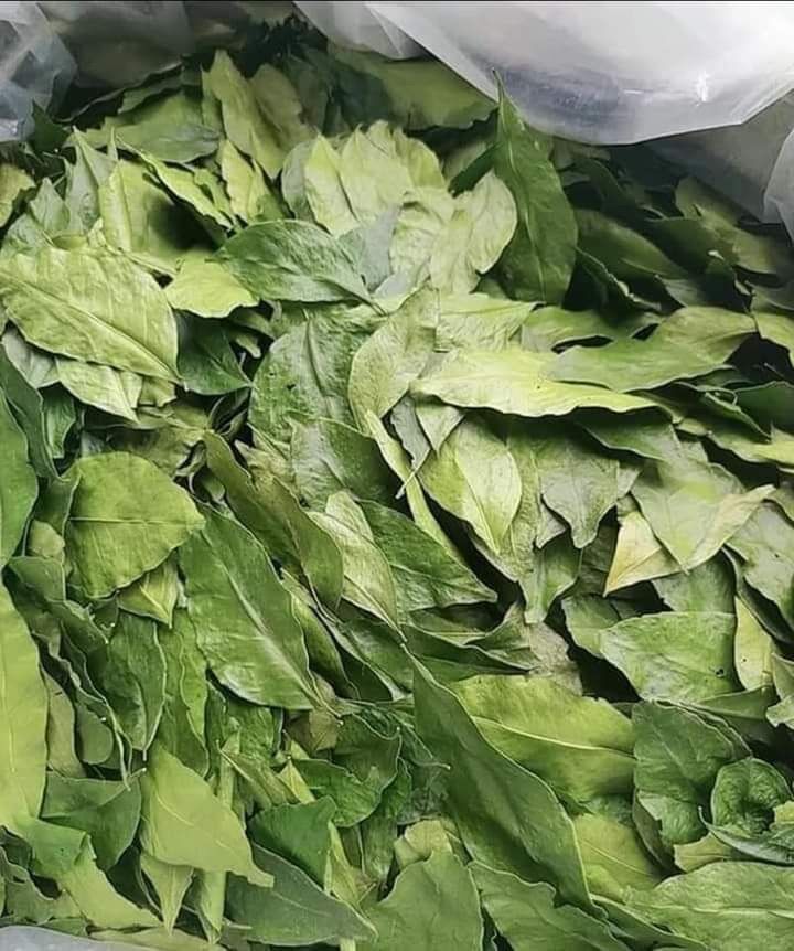 1 kí lá mắc mật sấy lạnh