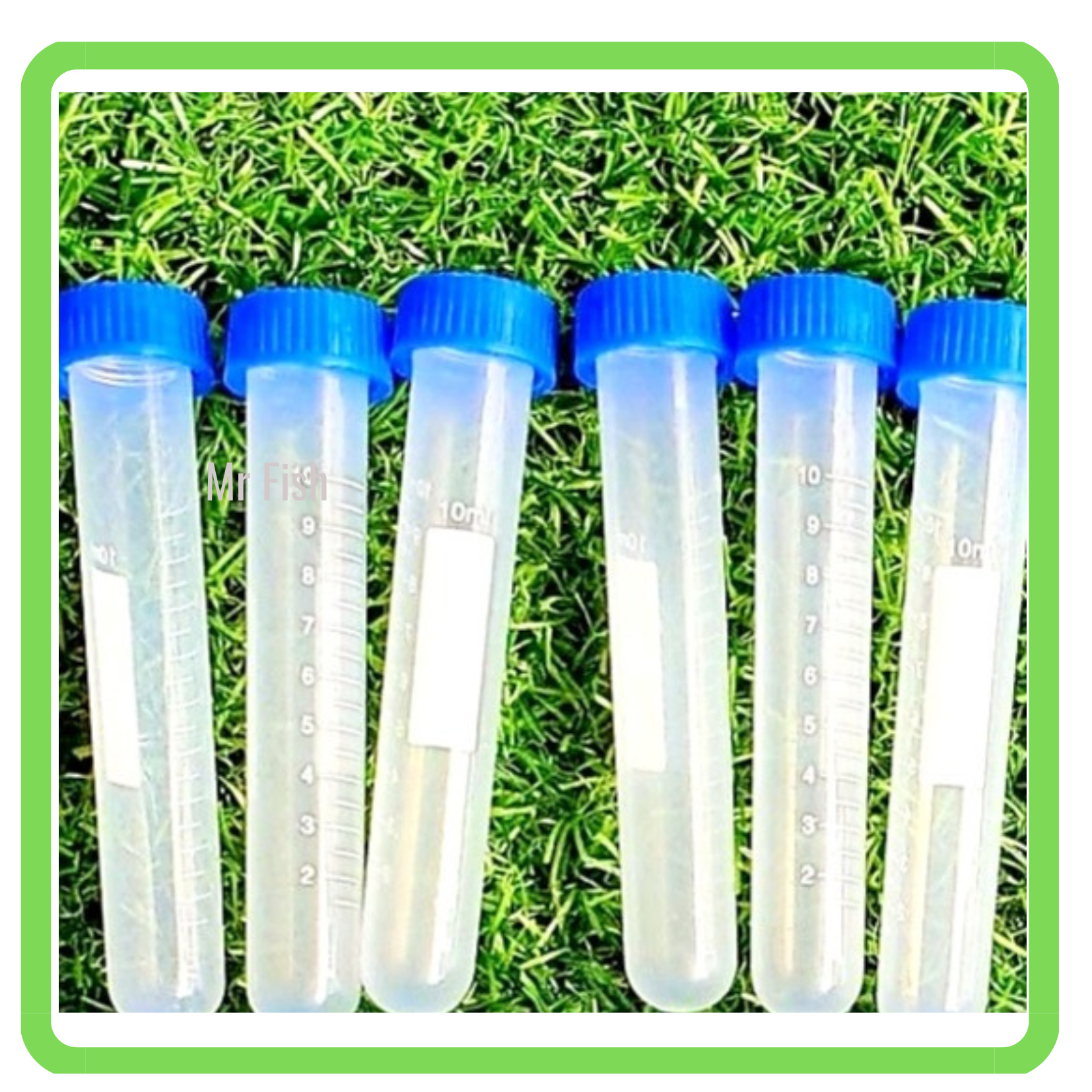Ống trữ Artemia 5ml - 10ml - Mr Fish