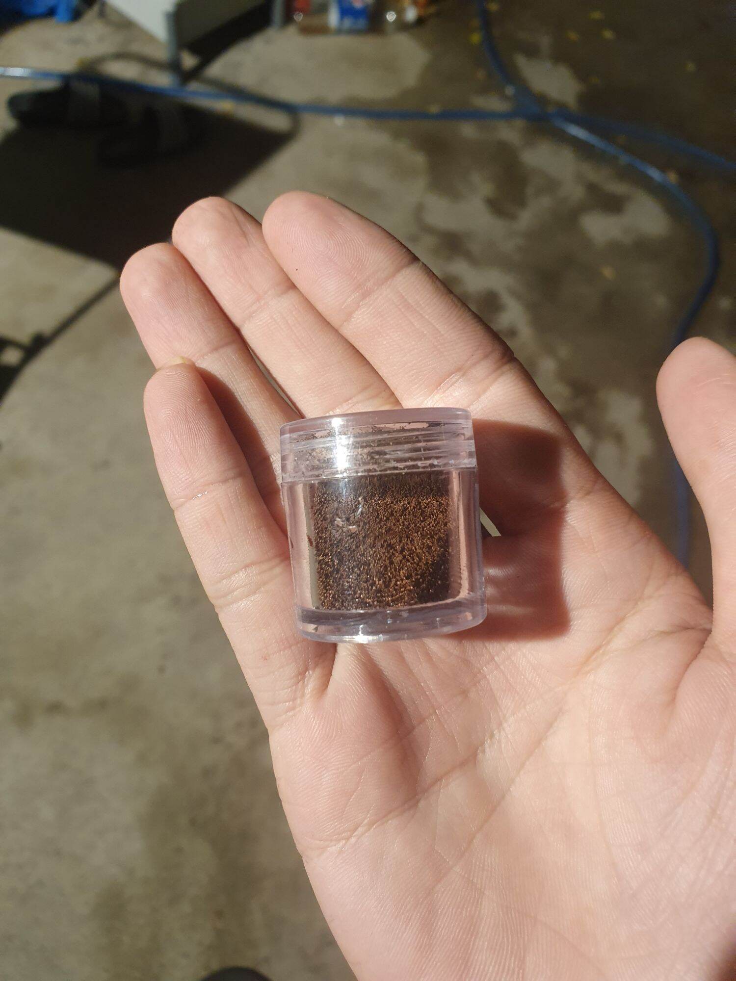 Artemia Lon Vàng chiết lẻ - thức ăn cá bột