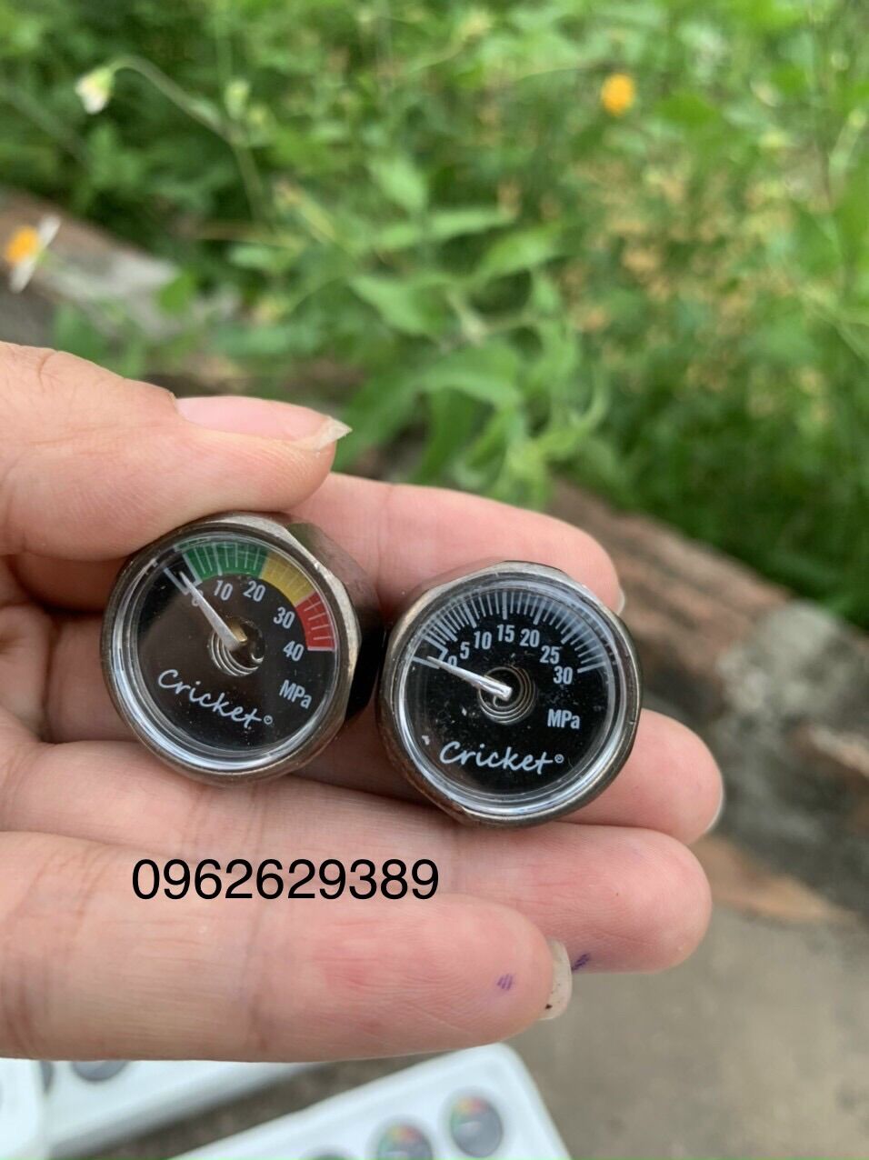 Đồng hồ đo áp cricket