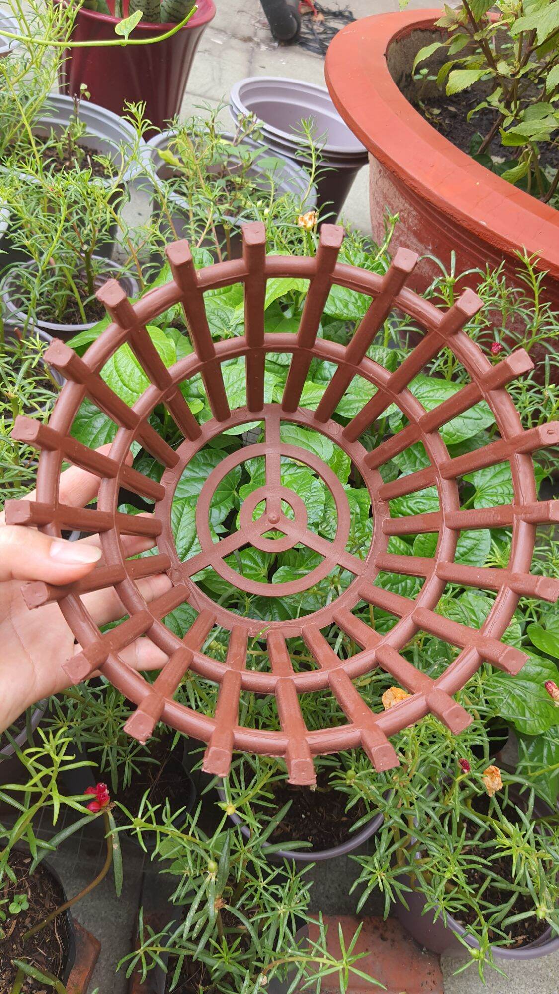 Chậu trồng lan giả gỗ nhiều size 20cm, 23cm, 26cm