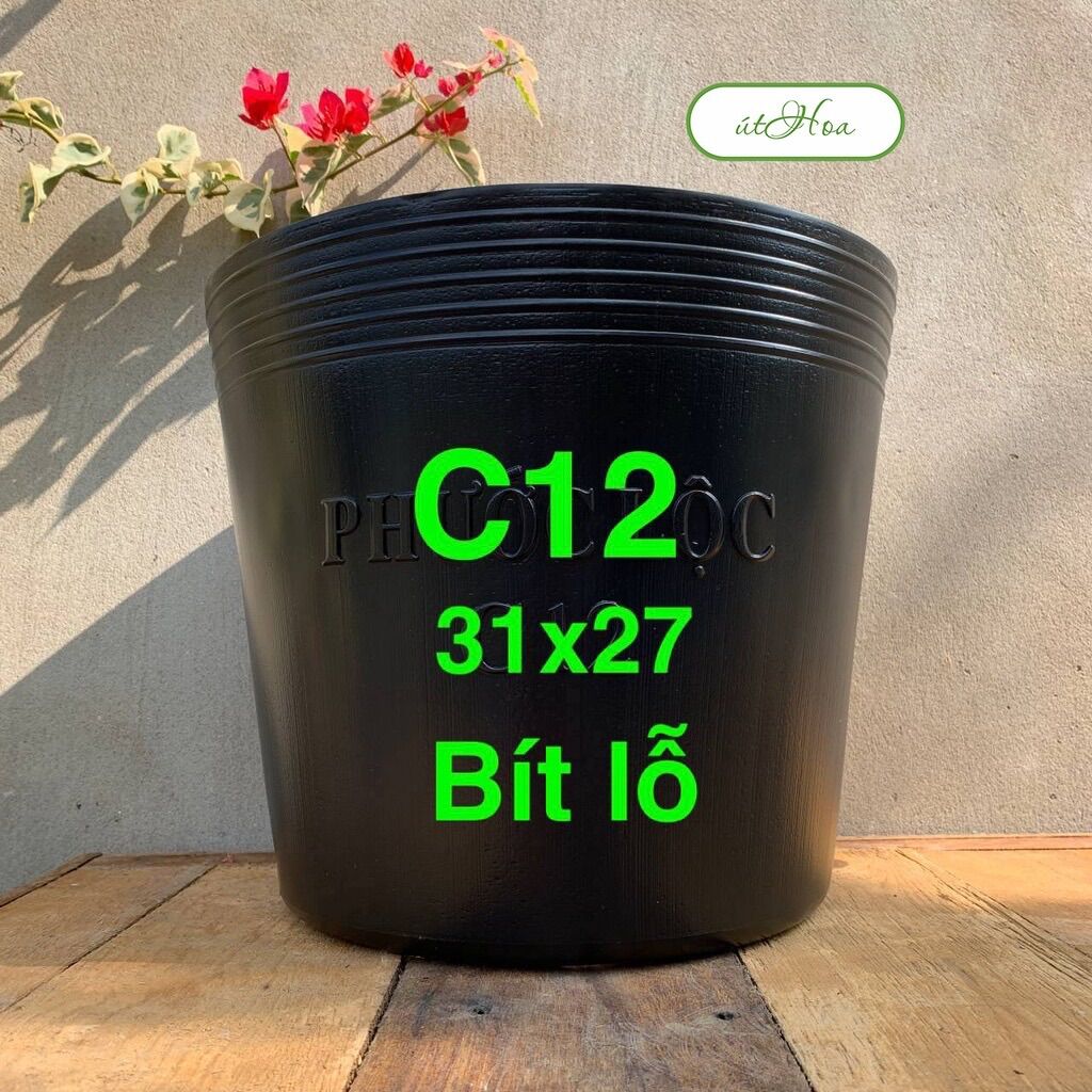 Chậu trồng sen, súng C12 bít lỗ (loại dày)