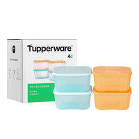 Tupperware | Hộp Bảo Quản Đông Lạnh Chất Lượng Thực Phẩm PP 700ml