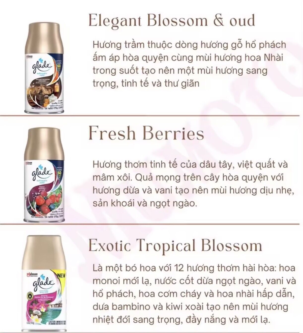 Xịt thơm phòng tự động Glade hương levender