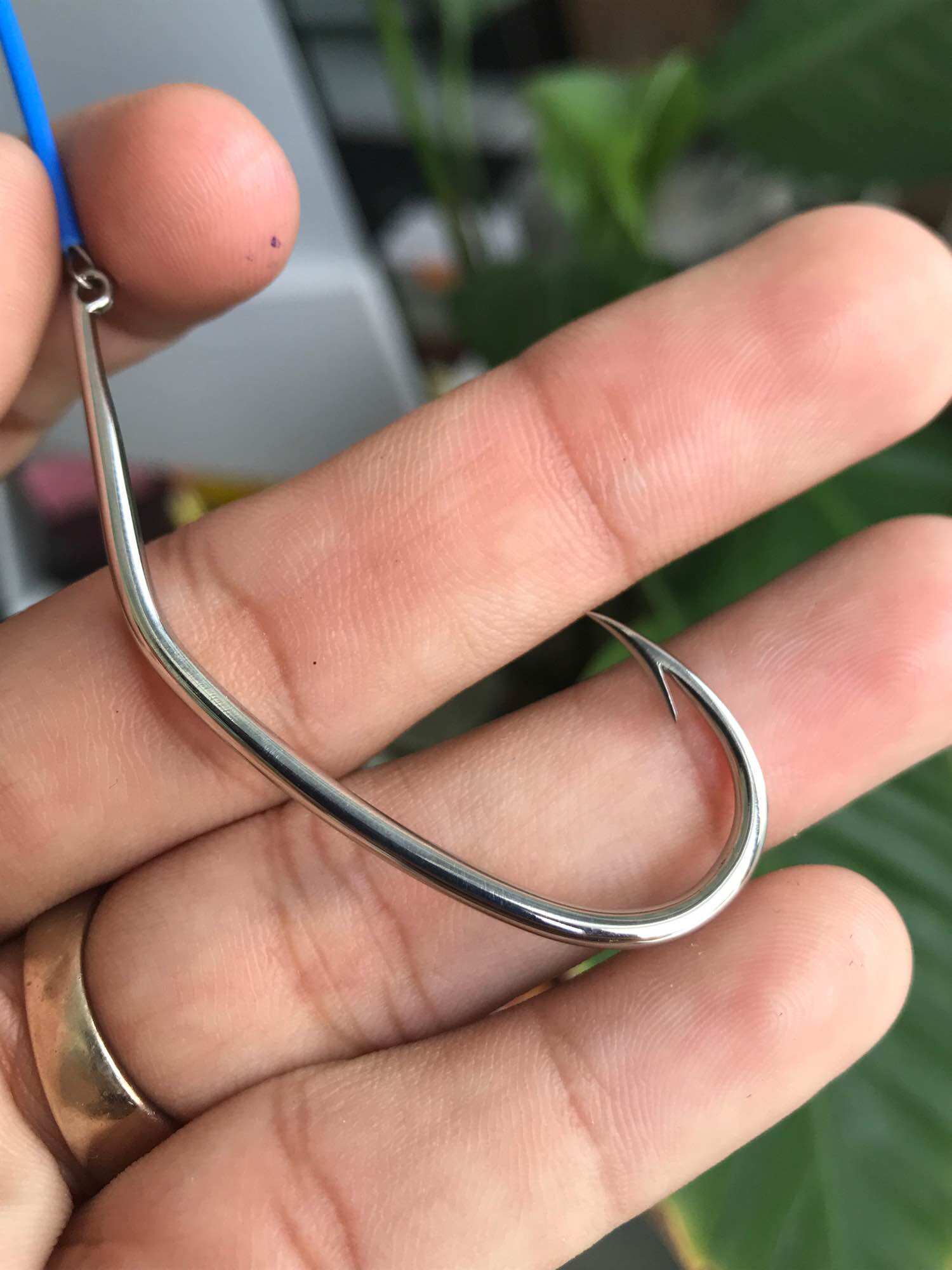 Lưỡi câu vọng hột mít