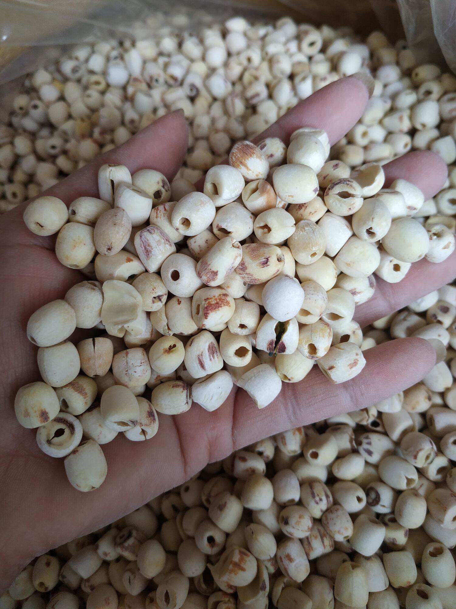 1kg hạt sen khô đã bóc vỏ bỏ tâm