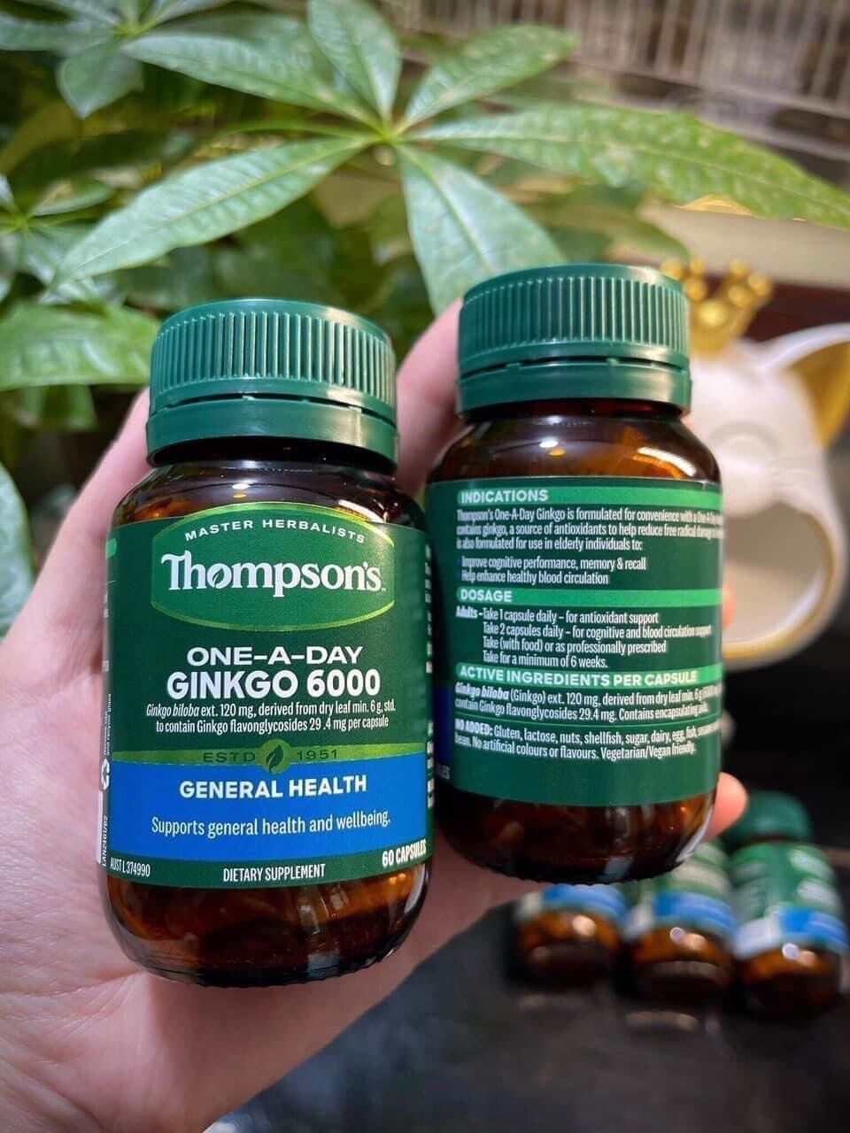 Ginkgo Biloba 6000 thompson úc