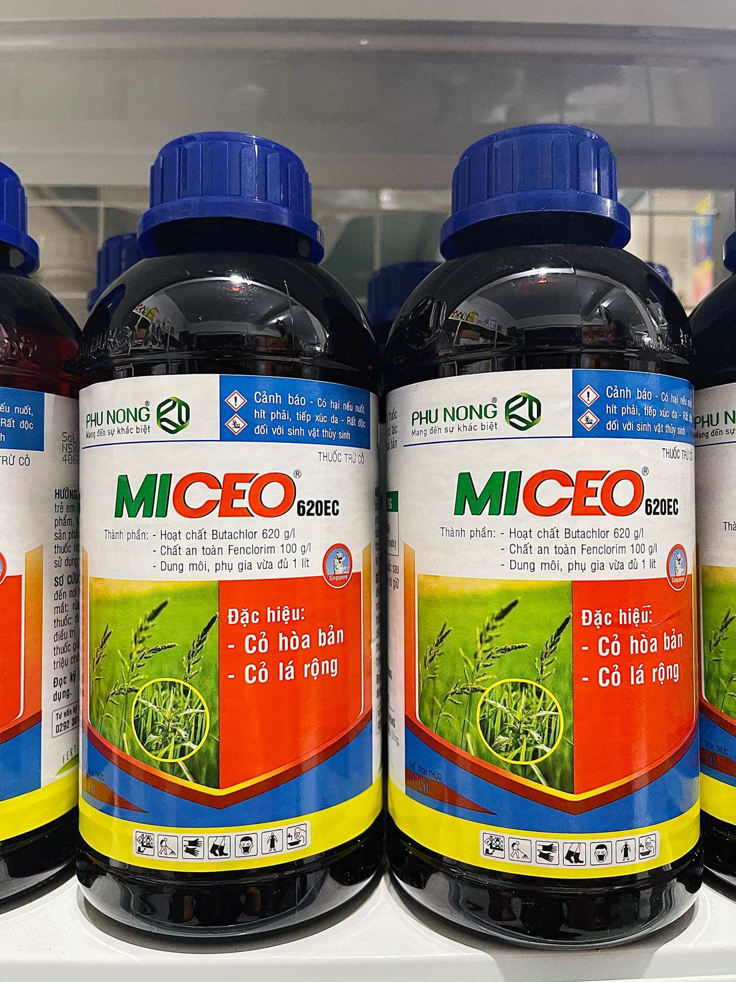 MICEO 620EC - PHÚ NÔNG (chai 1L). Cỏ tiền nảy mầm