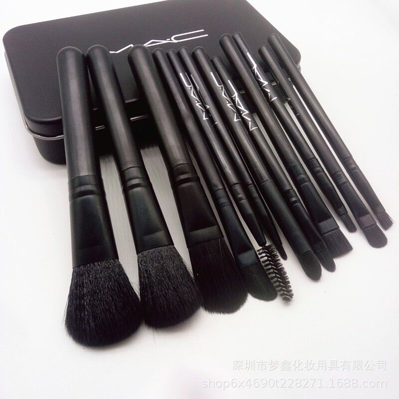 Bộ cọ trang điểm chuyên nghiệp- bộ 12 cọ