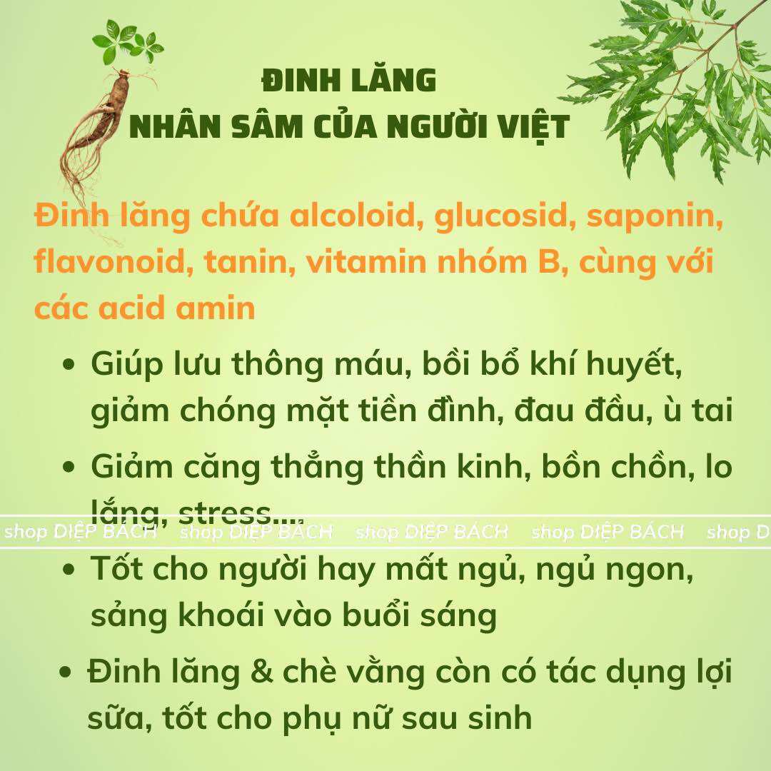 Combo 3 hộp Trà đinh lăng Mộc Can hộp 25 túi lọc