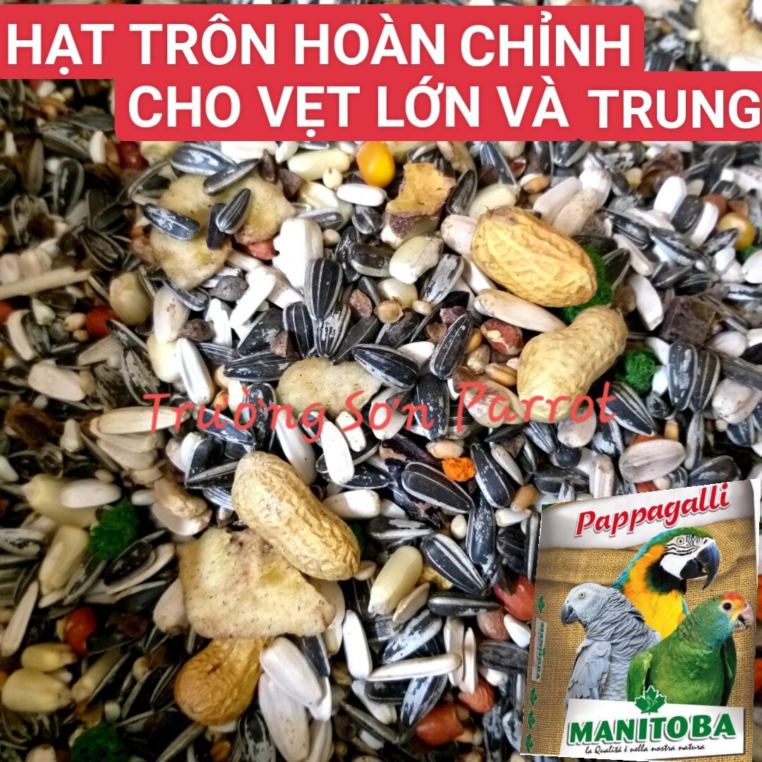 1kg Hạt trộn cho vẹt trung/ vẹt lớn PAPPAGALI của Manitoba cho macaw, xám, amazon,...