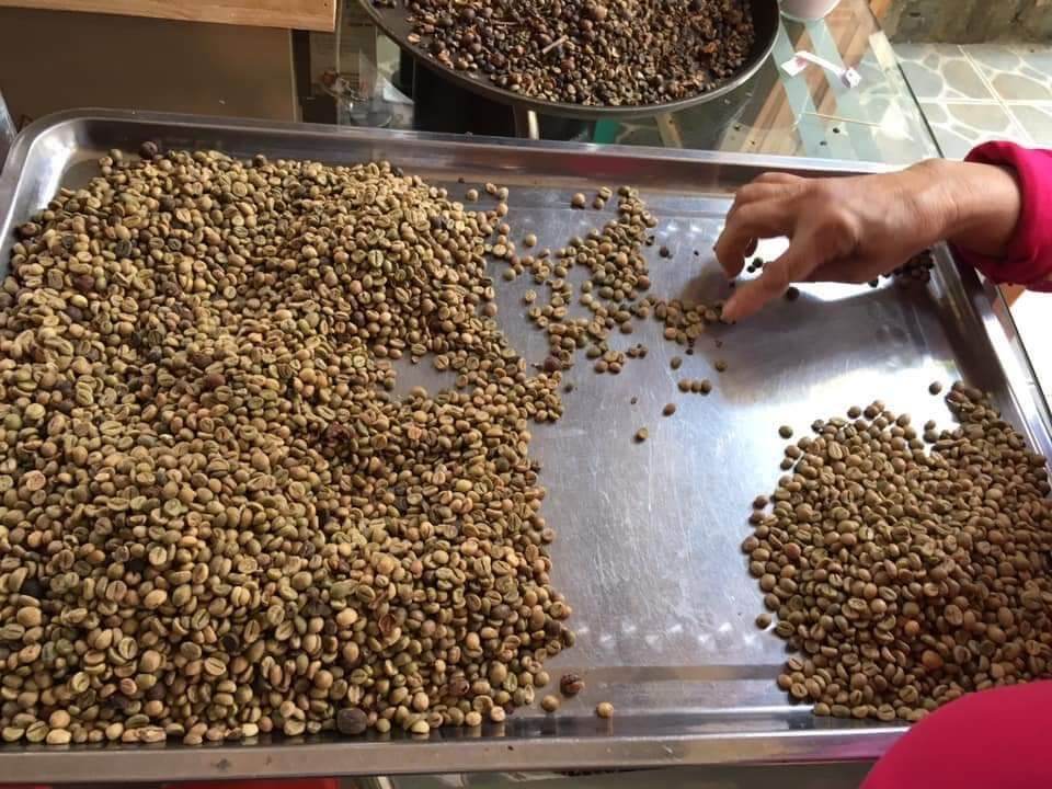 sỉ 5 ký cà phê rang say nguyên chất Bích hiền